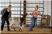 LCFAIR17-2245.jpg