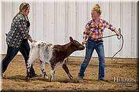 LCFAIR17-2250.jpg