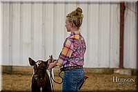 LCFAIR17-2253.jpg