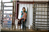 LCFAIR17-2275.jpg