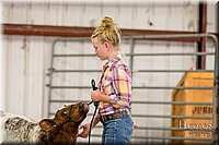 LCFAIR17-2276.jpg