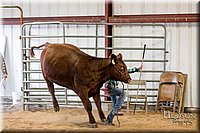 LCFAIR17-2309.jpg