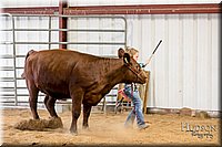 LCFAIR17-2310.jpg