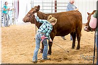 LCFAIR17-2313.jpg