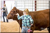 LCFAIR17-2315.jpg