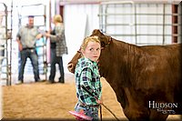 LCFAIR17-2316.jpg