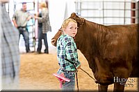 LCFAIR17-2317.jpg