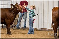 LCFAIR17-2323.jpg