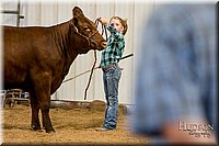 LCFAIR17-2329.jpg