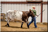 LCFAIR17-2349.jpg