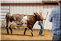 LCFAIR17-2350.jpg