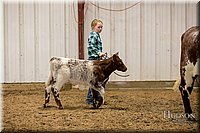 LCFAIR17-2353.jpg