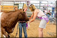 LCFAIR17-2368.jpg