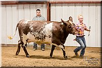 LCFAIR17-2393.jpg