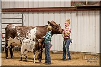 LCFAIR17-2396.jpg