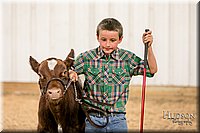 LCFAIR17-2481.jpg