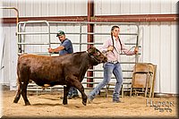 LCFAIR17-2485.jpg