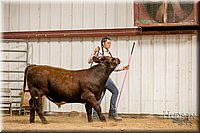 LCFAIR17-2495.jpg