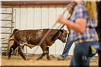 LCFAIR17-2497.jpg