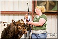 LCFAIR17-2513.jpg