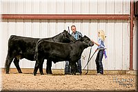 LCFAIR17-2550.jpg