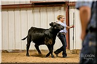LCFAIR17-2564.jpg