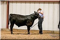 LCFAIR17-2566.jpg