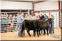 LCFAIR17-2586.jpg