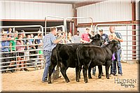 LCFAIR17-2587.jpg