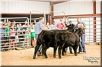 LCFAIR17-2589.jpg