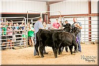 LCFAIR17-2590.jpg