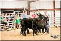 LCFAIR17-2591.jpg