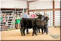 LCFAIR17-2592.jpg