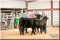 LCFAIR17-2593.jpg