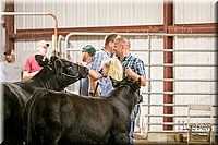 LCFAIR17-2598.jpg