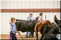 LCFAIR17-2606.jpg