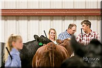 LCFAIR17-2608.jpg