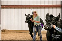 LCFAIR17-2613.jpg