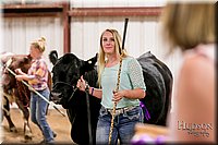 LCFAIR17-2617.jpg