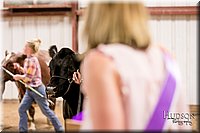 LCFAIR17-2618.jpg