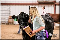 LCFAIR17-2619.jpg