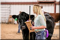 LCFAIR17-2620.jpg