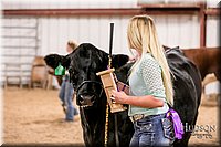 LCFAIR17-2621.jpg