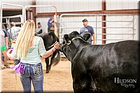 LCFAIR17-2629.jpg