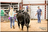 LCFAIR17-2633.jpg