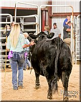 LCFAIR17-2634.jpg