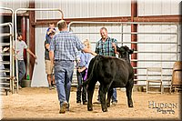 LCFAIR17-2640.jpg