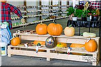 LCFAIR17-1005.jpg