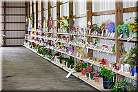 LCFAIR17-1006.jpg