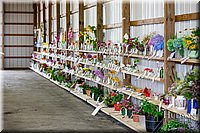 LCFAIR17-1007.jpg